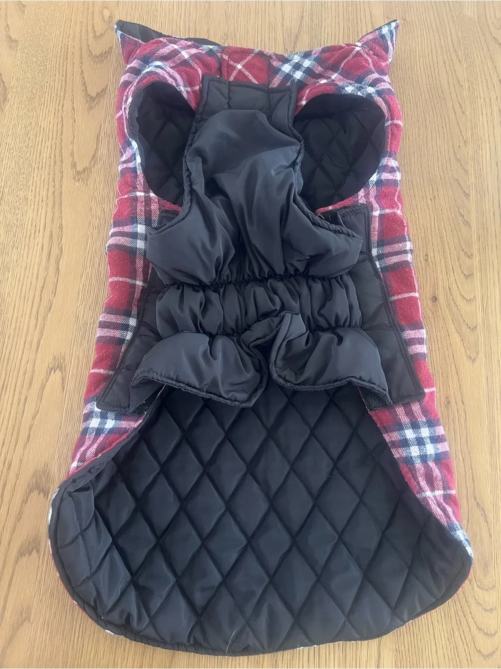 Dog jacket